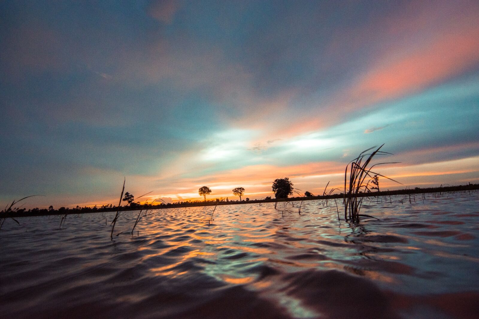 Tokina AT-X Pro 11-16mm F2.8 DX II sample photo. Cornfield, outside of the photography