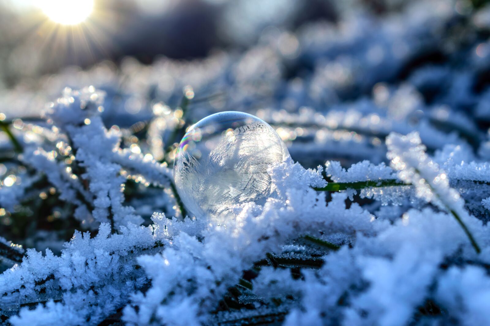 Nikon D5300 sample photo. Soap bubble, frozen, frozen photography