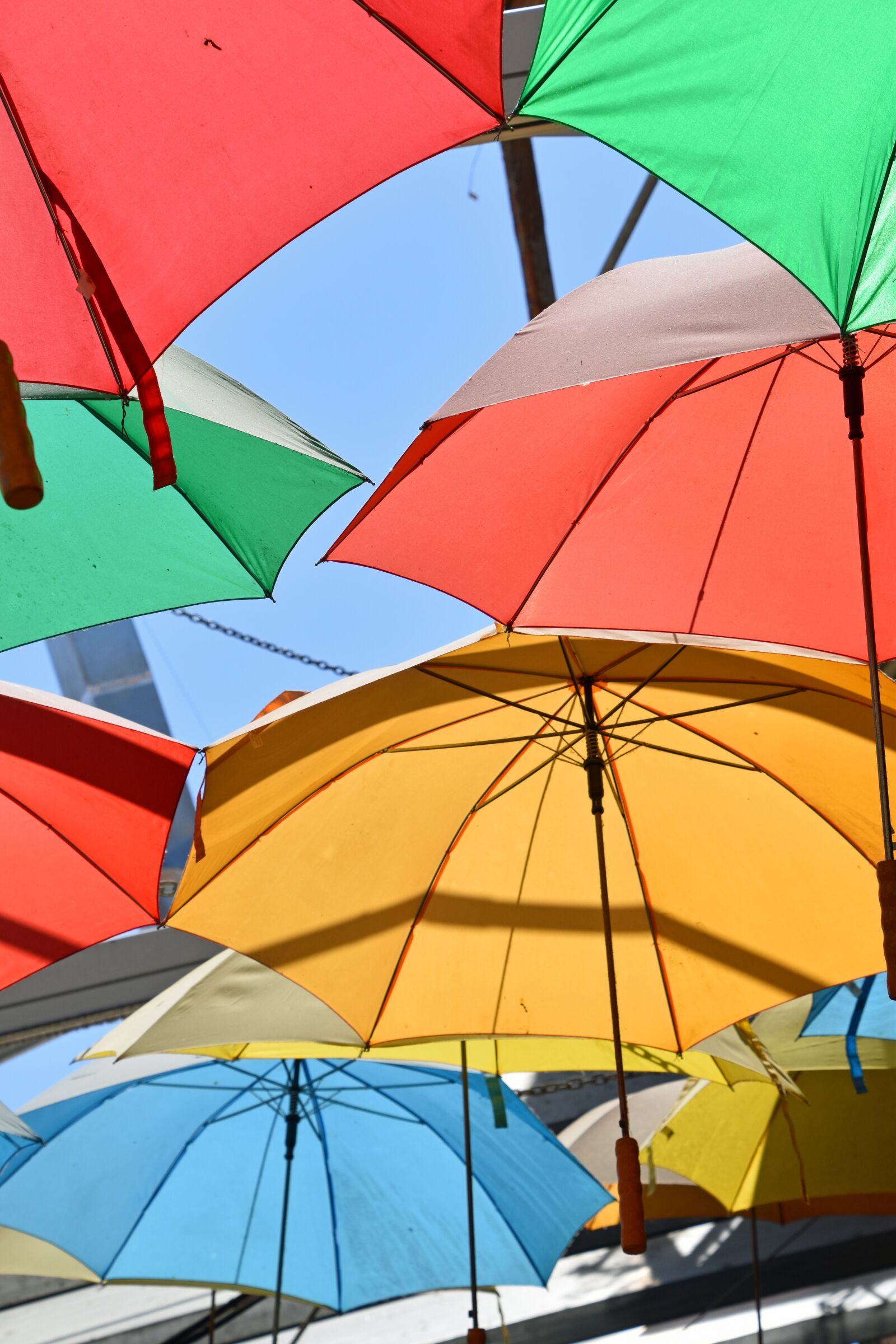 Nikon D5500 sample photo. Umbrella, multi colour, color photography