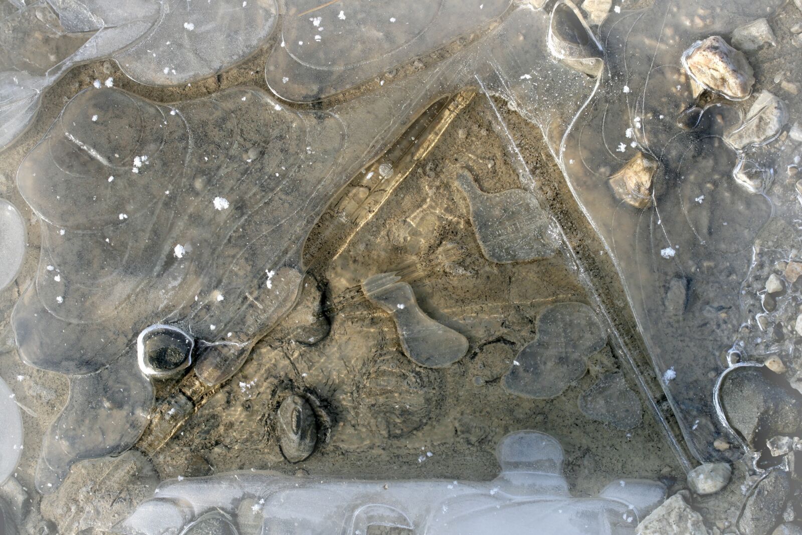 Canon EOS 400D (EOS Digital Rebel XTi / EOS Kiss Digital X) sample photo. Ice, puddle, frozen photography