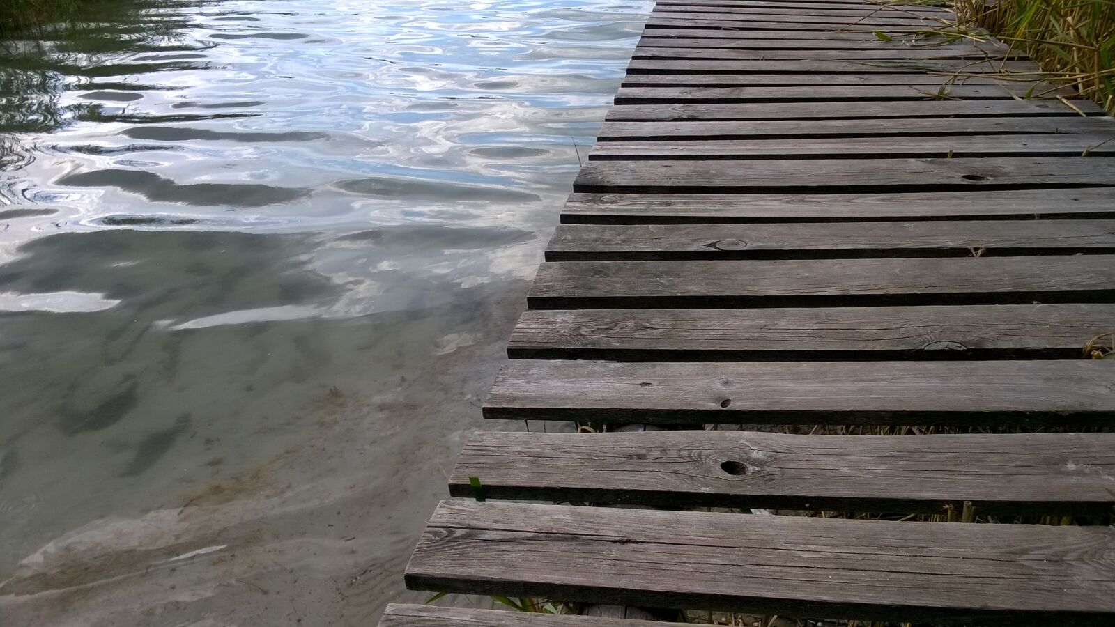 Nokia Lumia 730 Dual SIM sample photo. Lake, meadow, water photography