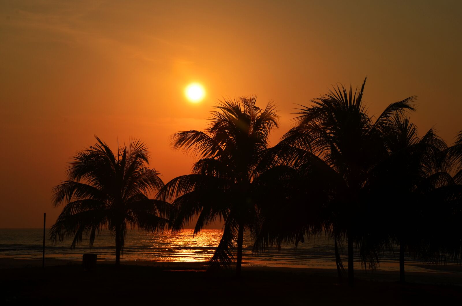 Nikon D7000 sample photo. Sunset, palm, sea photography