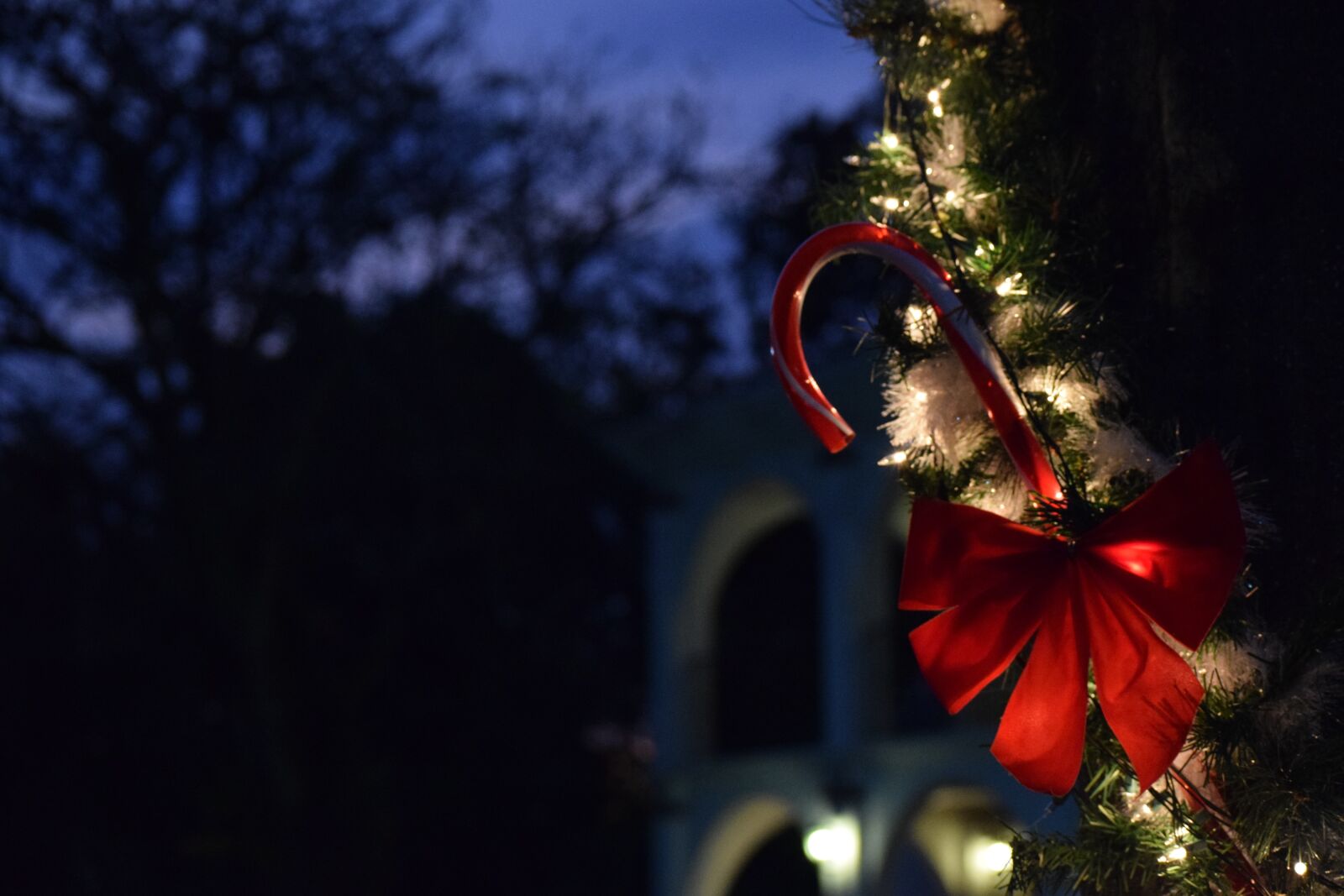 Nikon D3300 sample photo. Christmas, lights, party photography