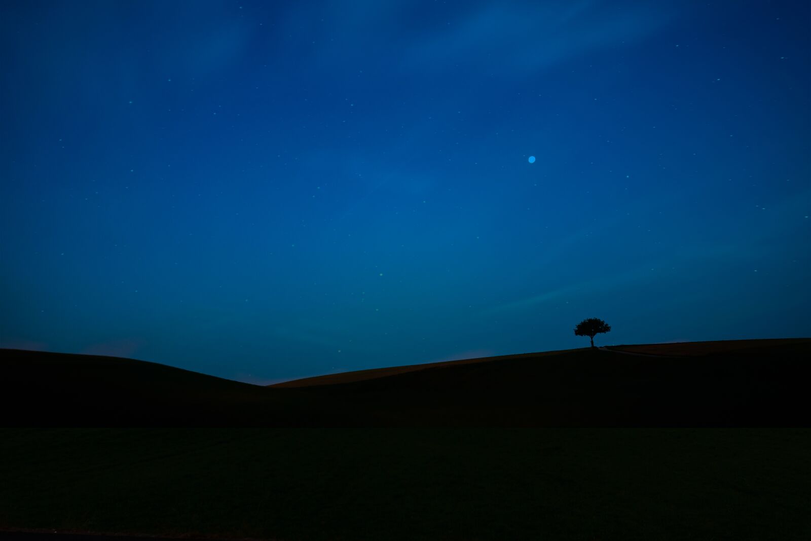 Nikon D500 sample photo. Minimalist, tree, landscape photography