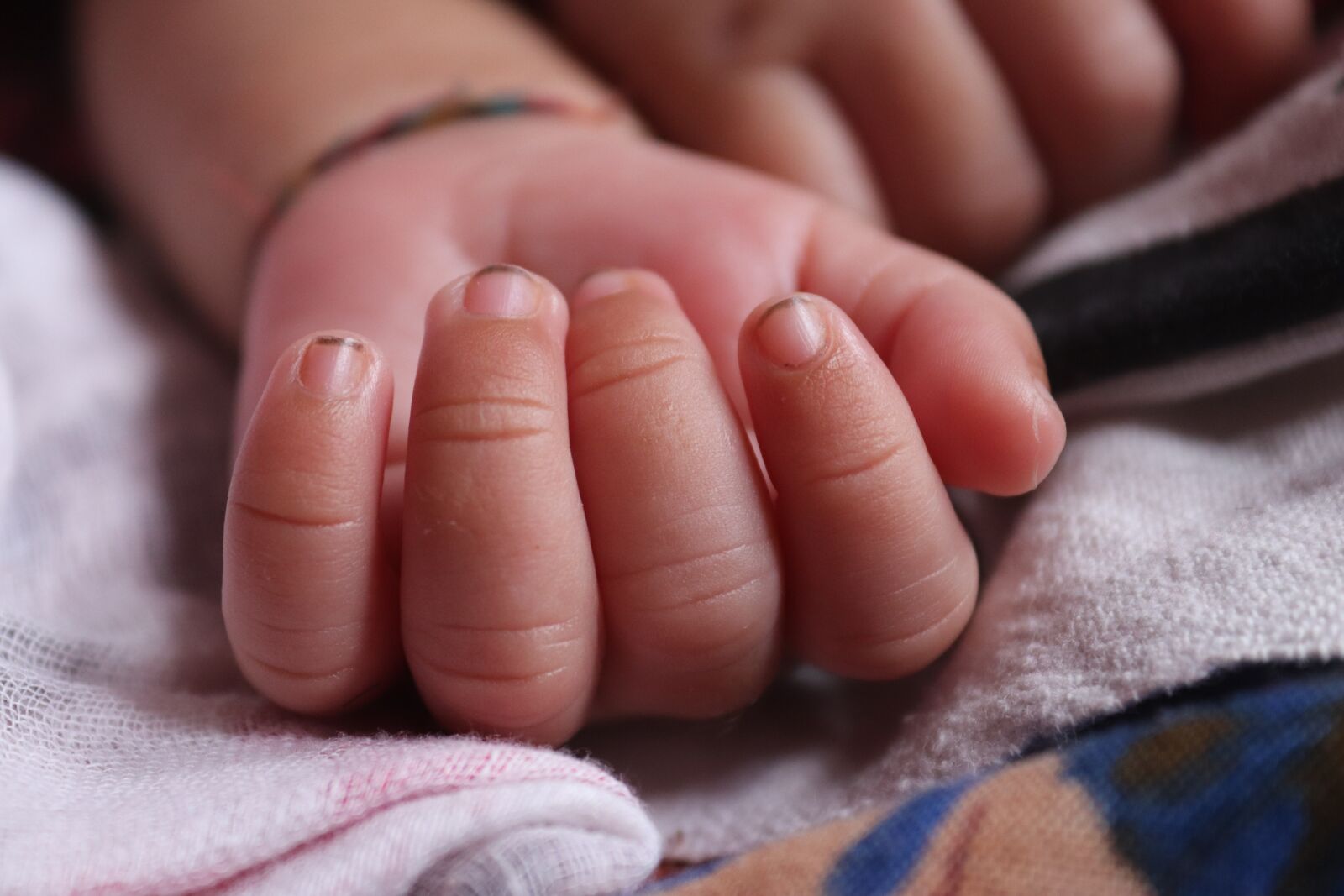 Canon EOS 200D (EOS Rebel SL2 / EOS Kiss X9) sample photo. Baby finger, baby, tiny photography