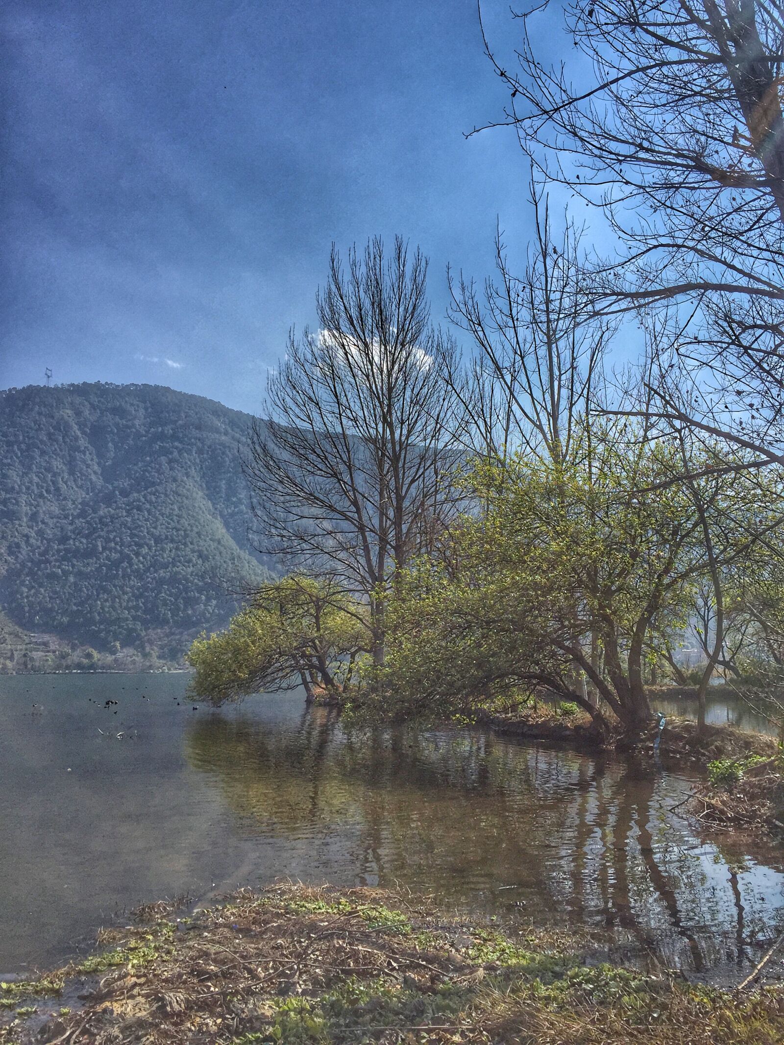 Apple iPhone 6 sample photo. Scenery, lugu lake, 泸沽湖 photography