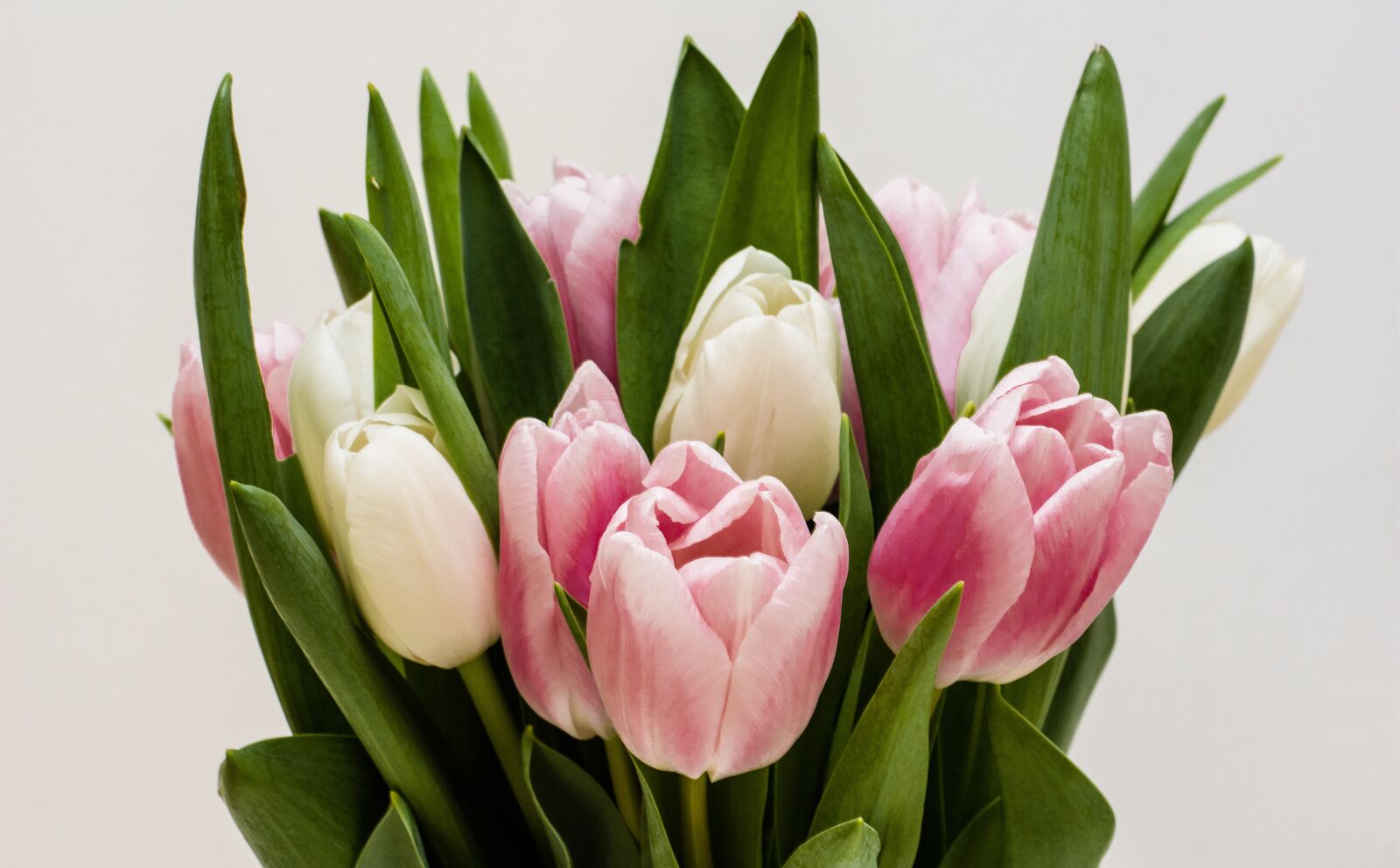 Nikon D7200 sample photo. Flowers, bouqet, nature photography