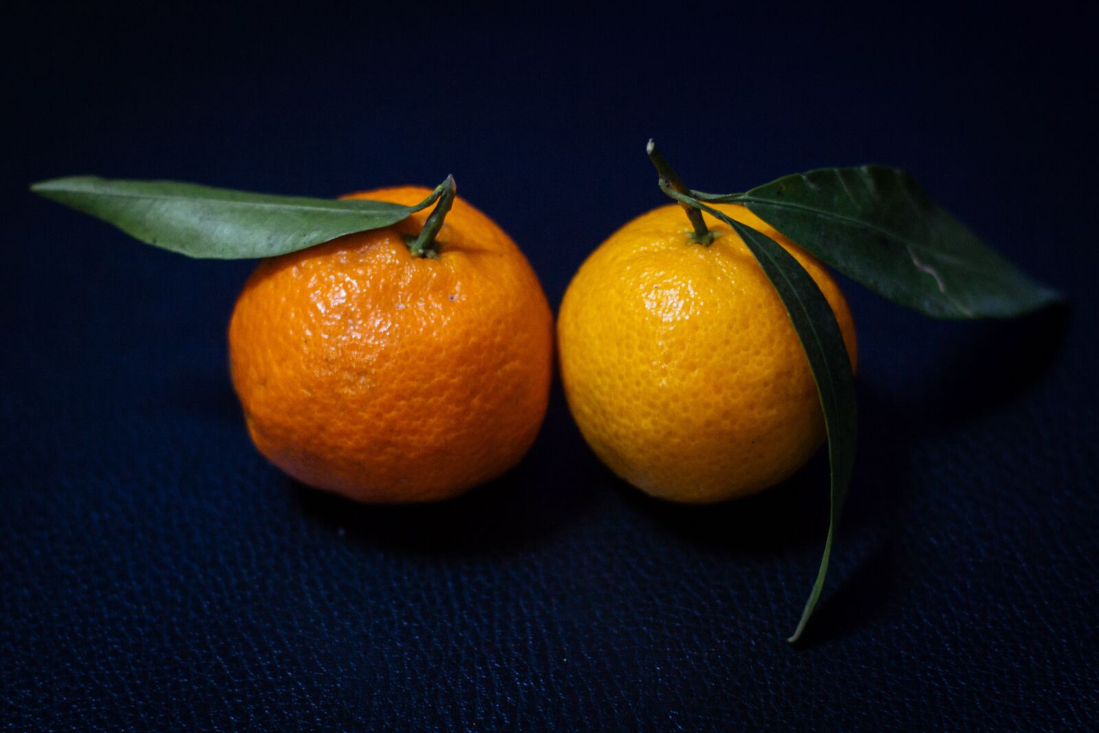 Canon EOS 50D + Canon EF 50mm F1.4 USM sample photo. Tangerine, orange, fruit photography