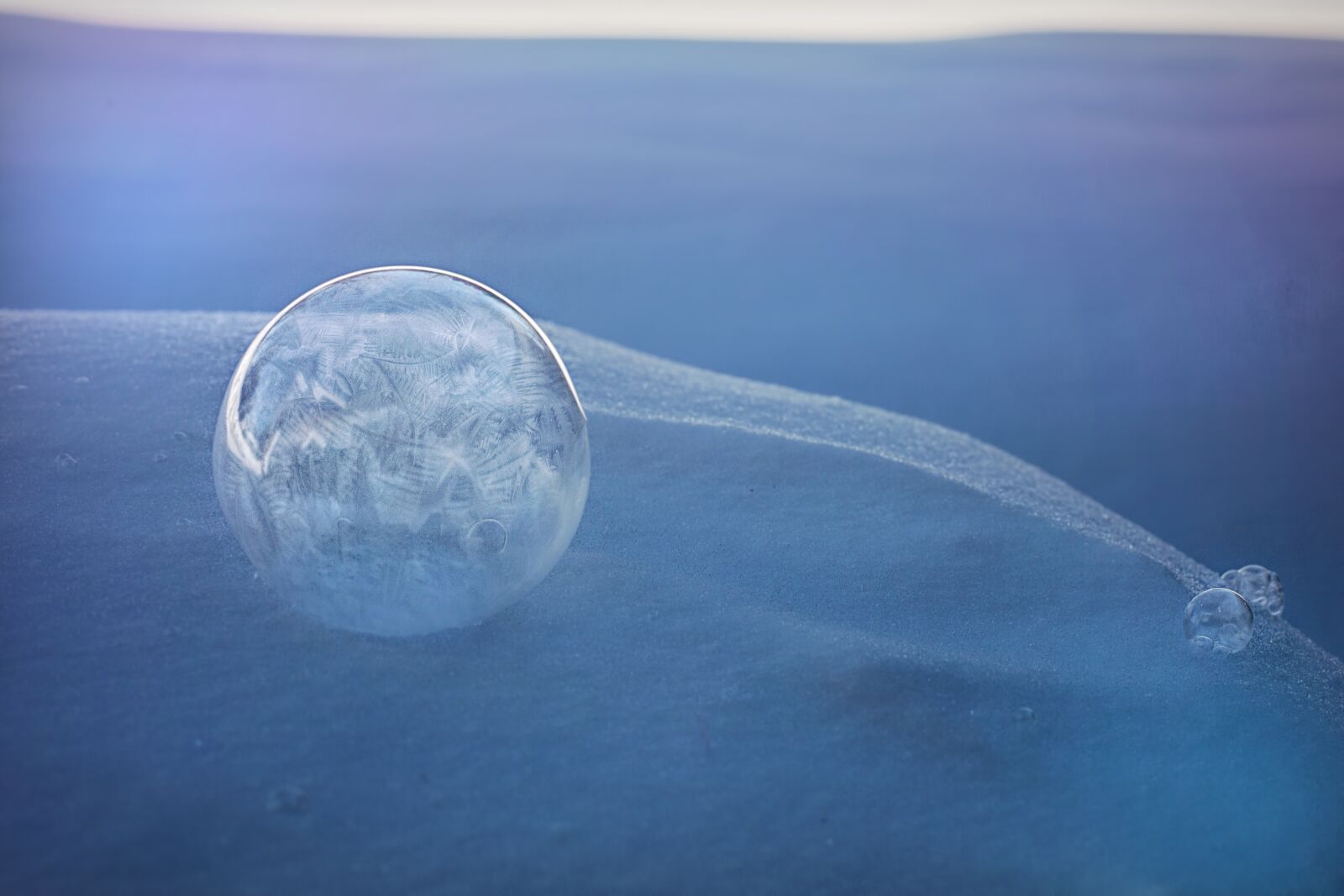 Canon EF 50mm F1.4 USM sample photo. Frozen bubble, bubble, ice photography