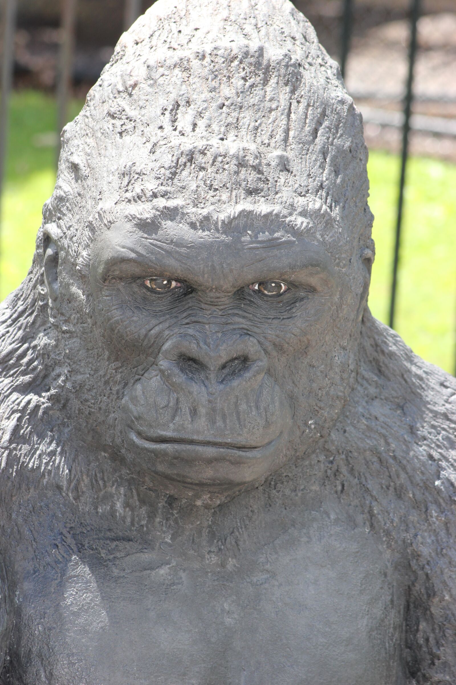 Canon EOS 550D (EOS Rebel T2i / EOS Kiss X4) sample photo. Gorilla, ape, animal photography