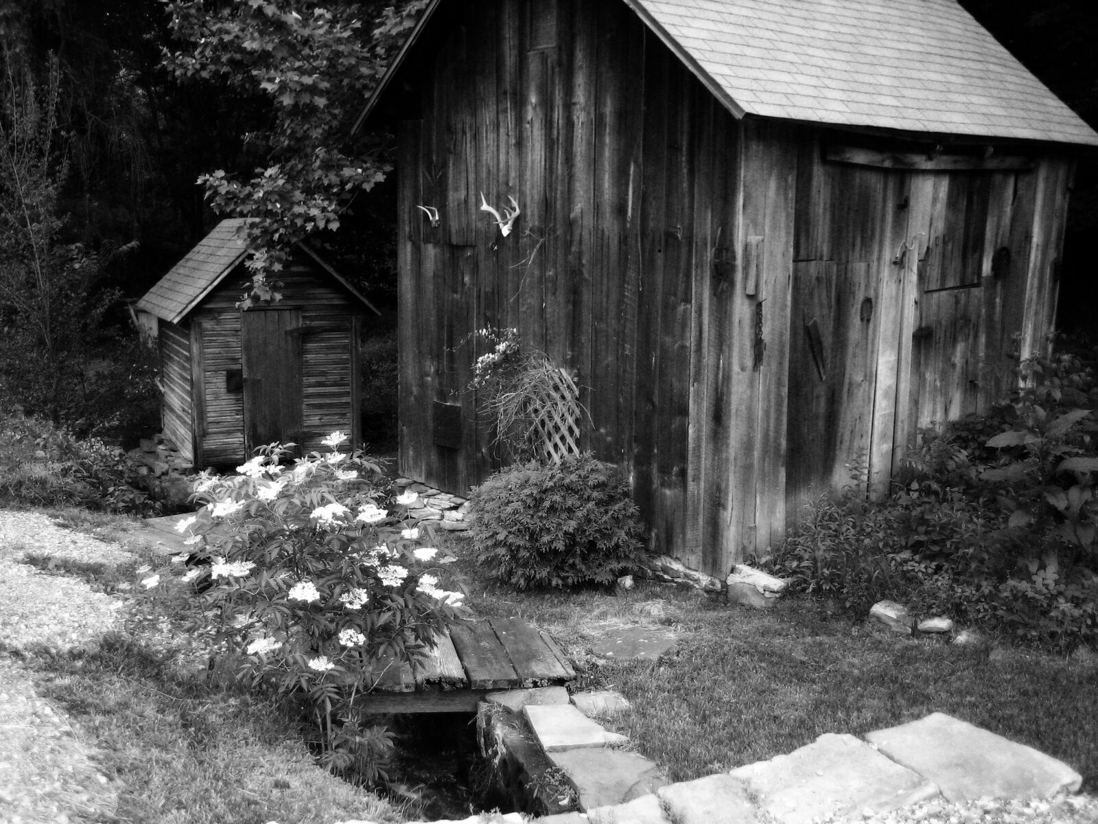 Canon POWERSHOT SD400 sample photo. Cabin, countryside, pennsylvania, countryside photography