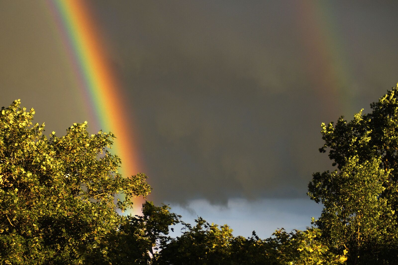 Sony SLT-A58 sample photo. Rainbow, rain, spectrum photography