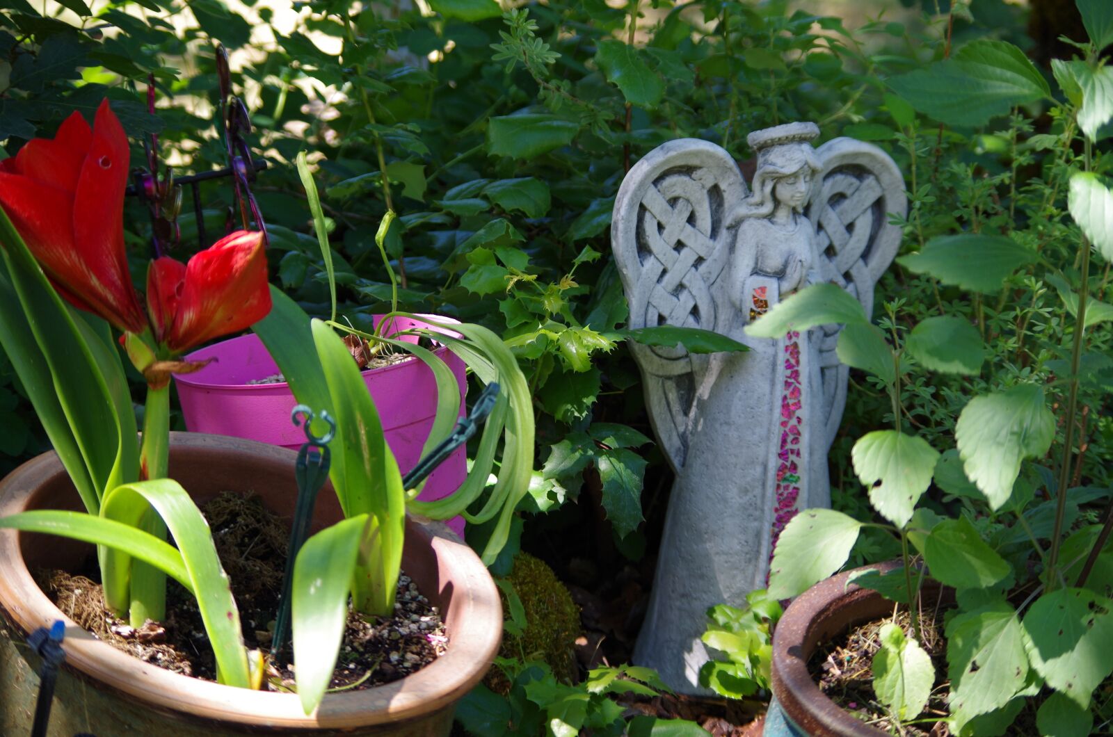 Pentax K-50 sample photo. Angel, flowers, garden photography
