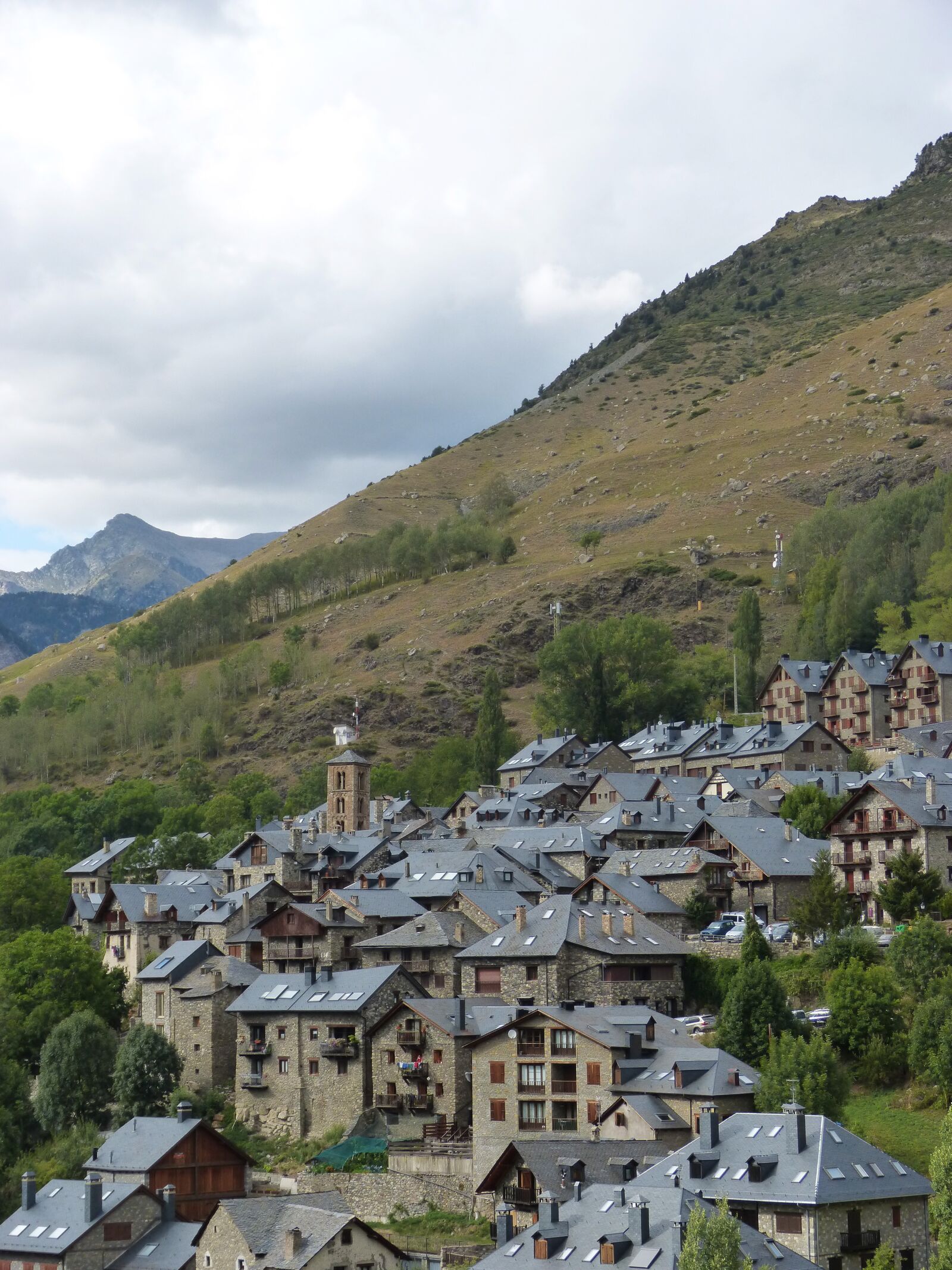 Panasonic DMC-FZ62 sample photo. Ta ll, pallars sobir photography