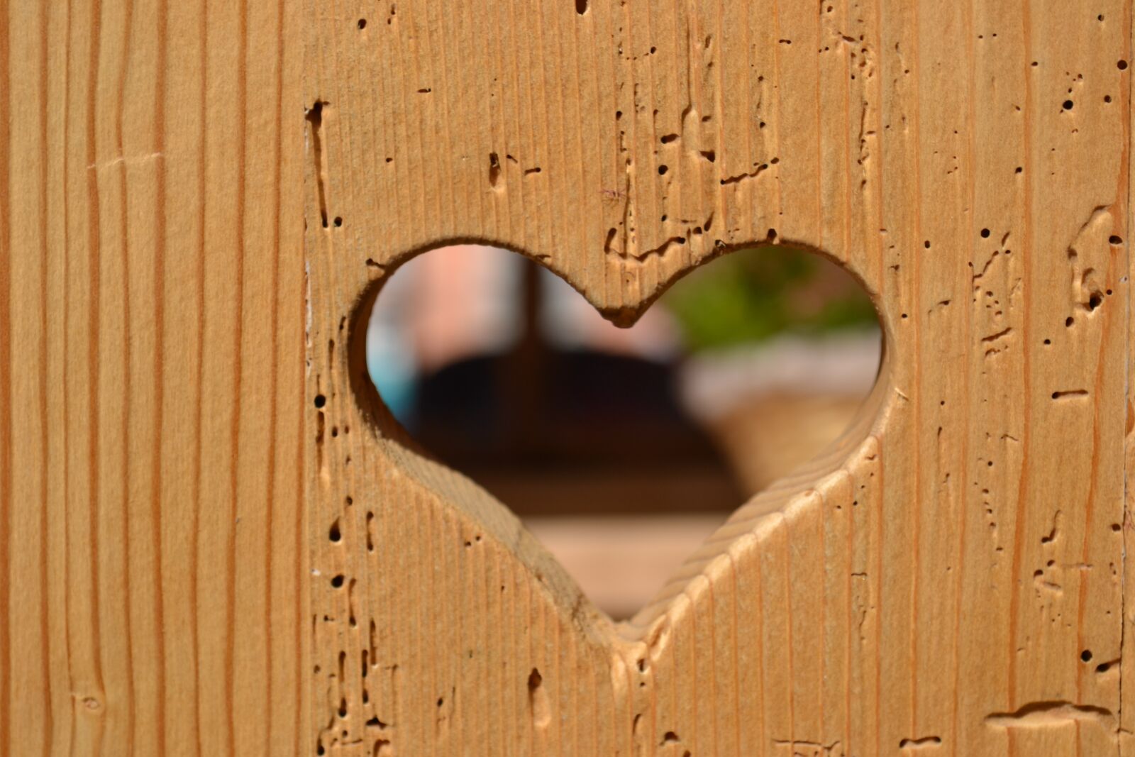 Nikon D3100 sample photo. Heart, wood, love photography