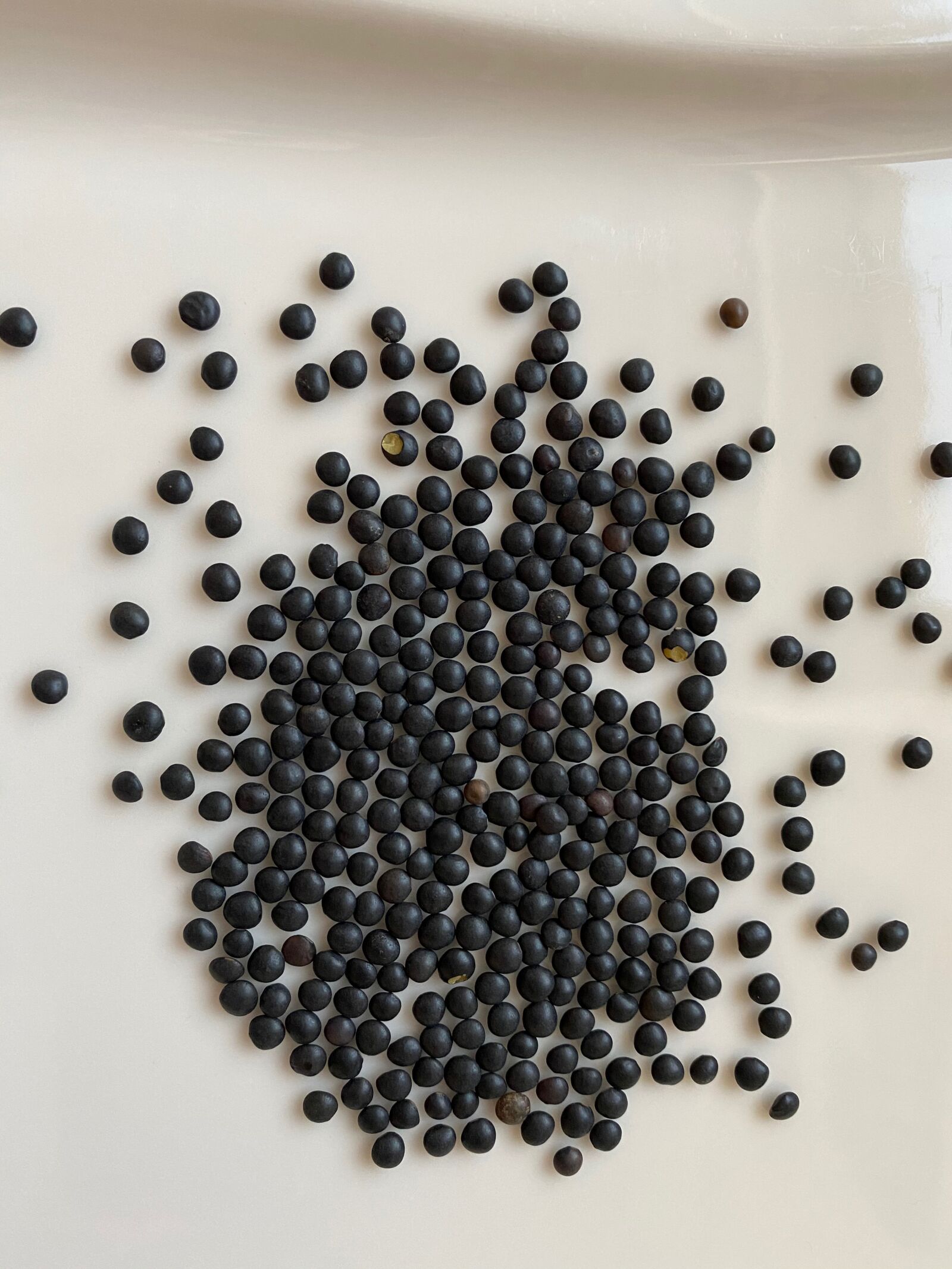 Apple iPhone 11 sample photo. Beluga lentils, lenses, seeds photography