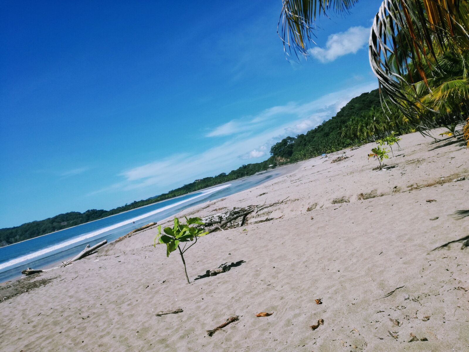 HUAWEI P9 LITE sample photo. Costa rica, playa, arena photography