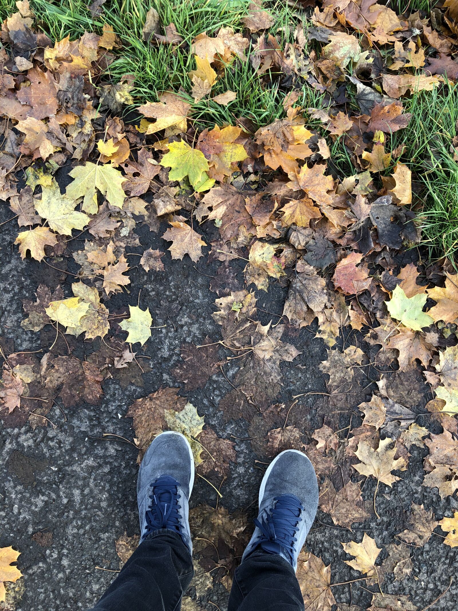 iPhone 8 Plus back dual camera 3.99mm f/1.8 sample photo. Autumn, leaves, feet photography
