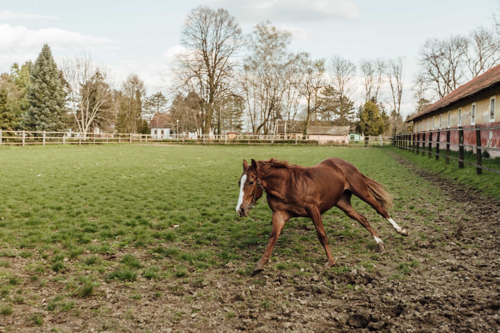 Canon EF 16-35mm F2.8L II USM sample photo. Horse racing, ranch, running photography