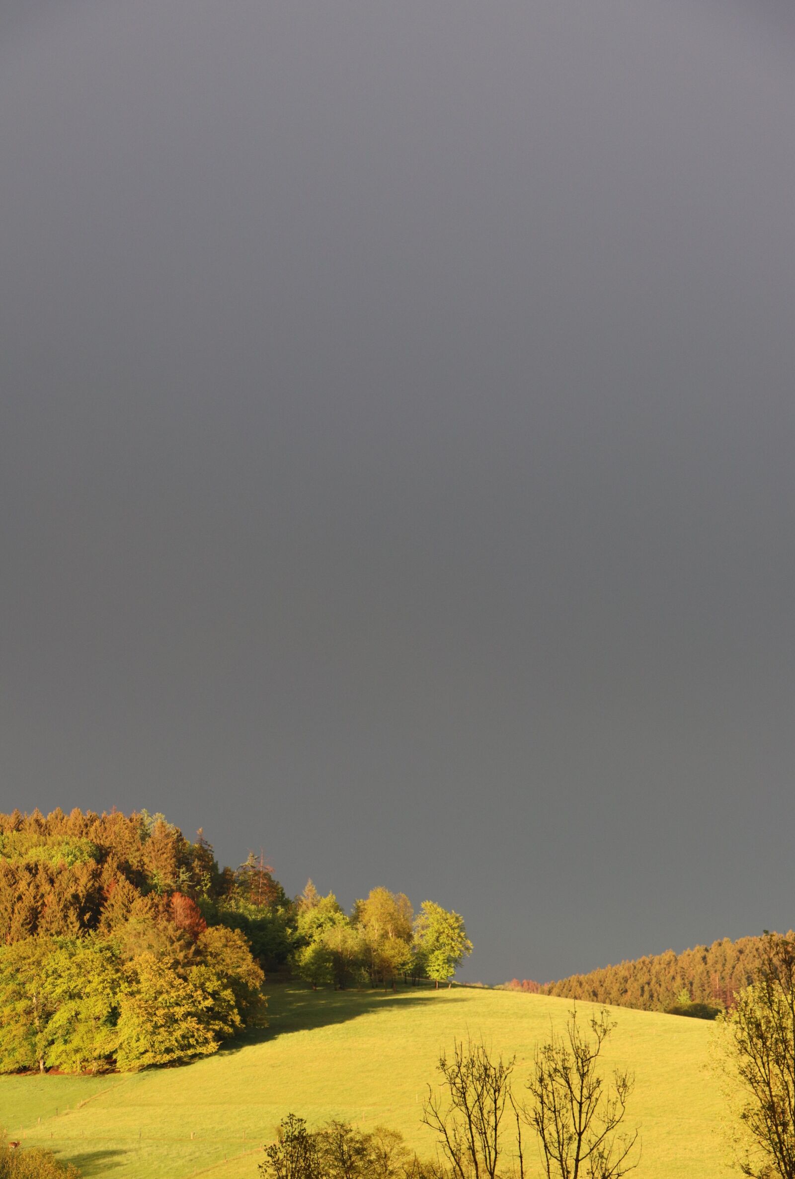 Canon EF-S 18-135mm F3.5-5.6 IS USM sample photo. Landscape, trees, nature photography