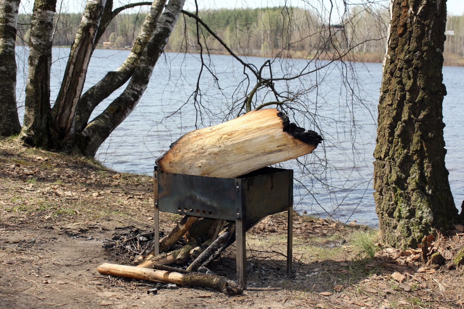 Canon EOS 60D sample photo. Forest, vacation, firewood photography