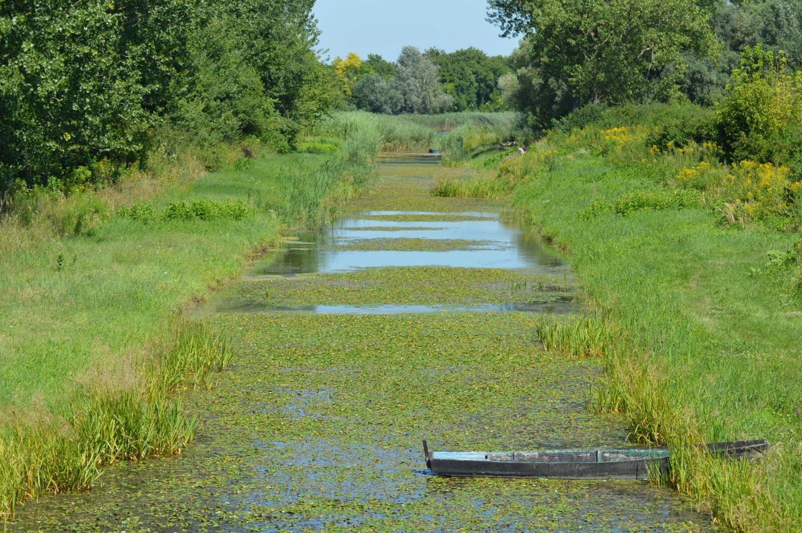 Nikon D3200 sample photo. Nature, see, natural photography