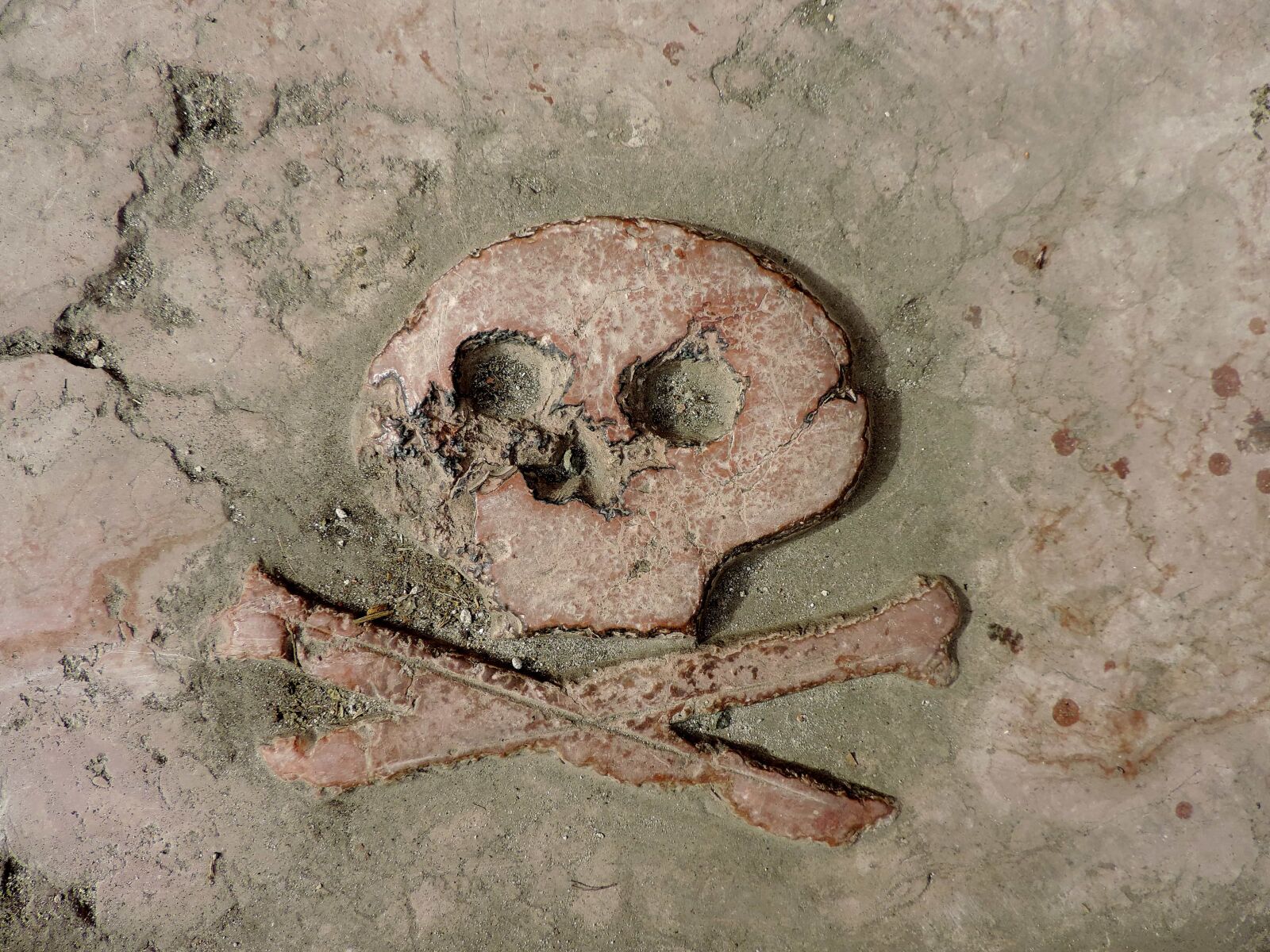 Nikon Coolpix P520 sample photo. Bones, marble, skull, symbol photography
