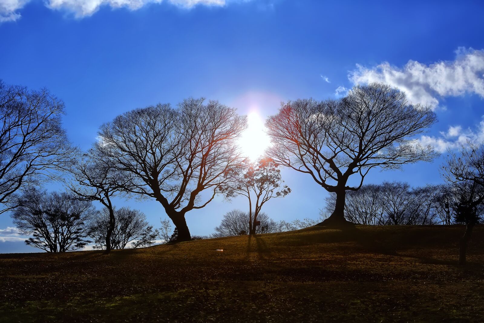 Canon EOS 5D Mark III sample photo. Sky, sea, solar photography