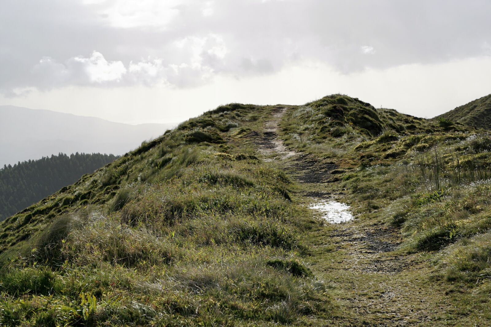 Sony ILCA-77M2 + Sony DT 16-50mm F2.8 SSM sample photo. Azores, portugal, nature photography