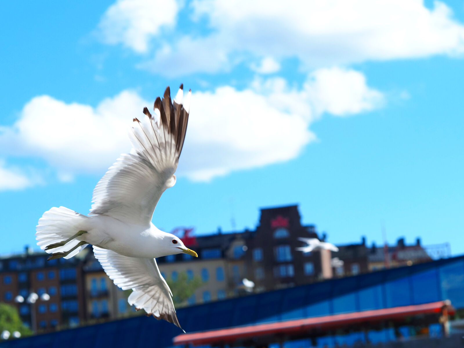 Olympus OM-D E-M1X sample photo