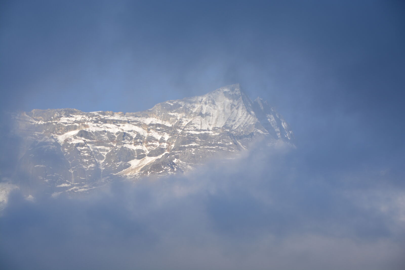 Nikon D5200 sample photo