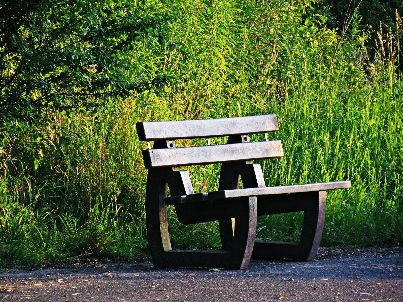 Скамейка картина. Bench [бенч] — скамейка. Скамейка «Modigliani». Липканы парк скамейка. Лавочка Арзамас парк.