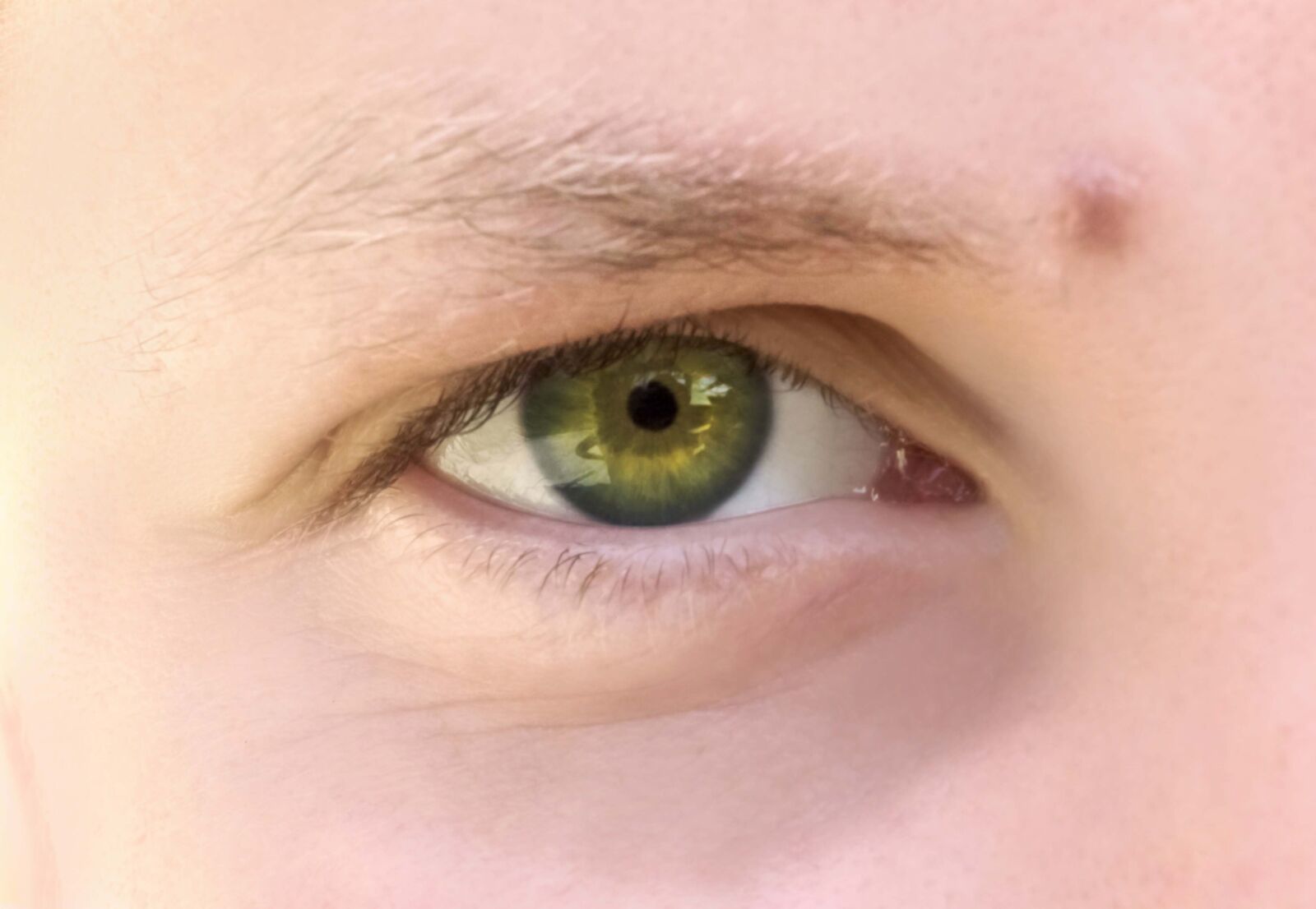 Canon EOS 600D (Rebel EOS T3i / EOS Kiss X5) sample photo. Eye, human, girl photography