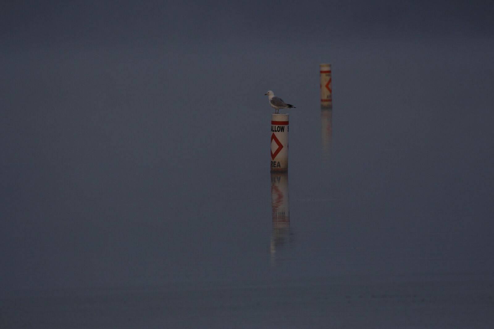 Canon EF 100-400mm F4.5-5.6L IS USM sample photo. Buoy, seagull, water photography
