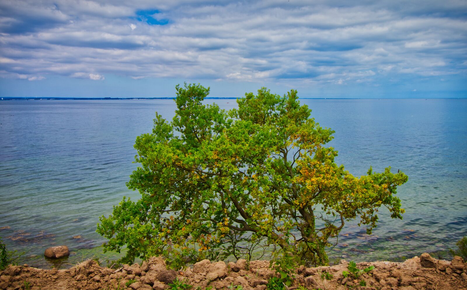 Canon EOS 200D (EOS Rebel SL2 / EOS Kiss X9) sample photo. Tree, baltic sea, sky photography