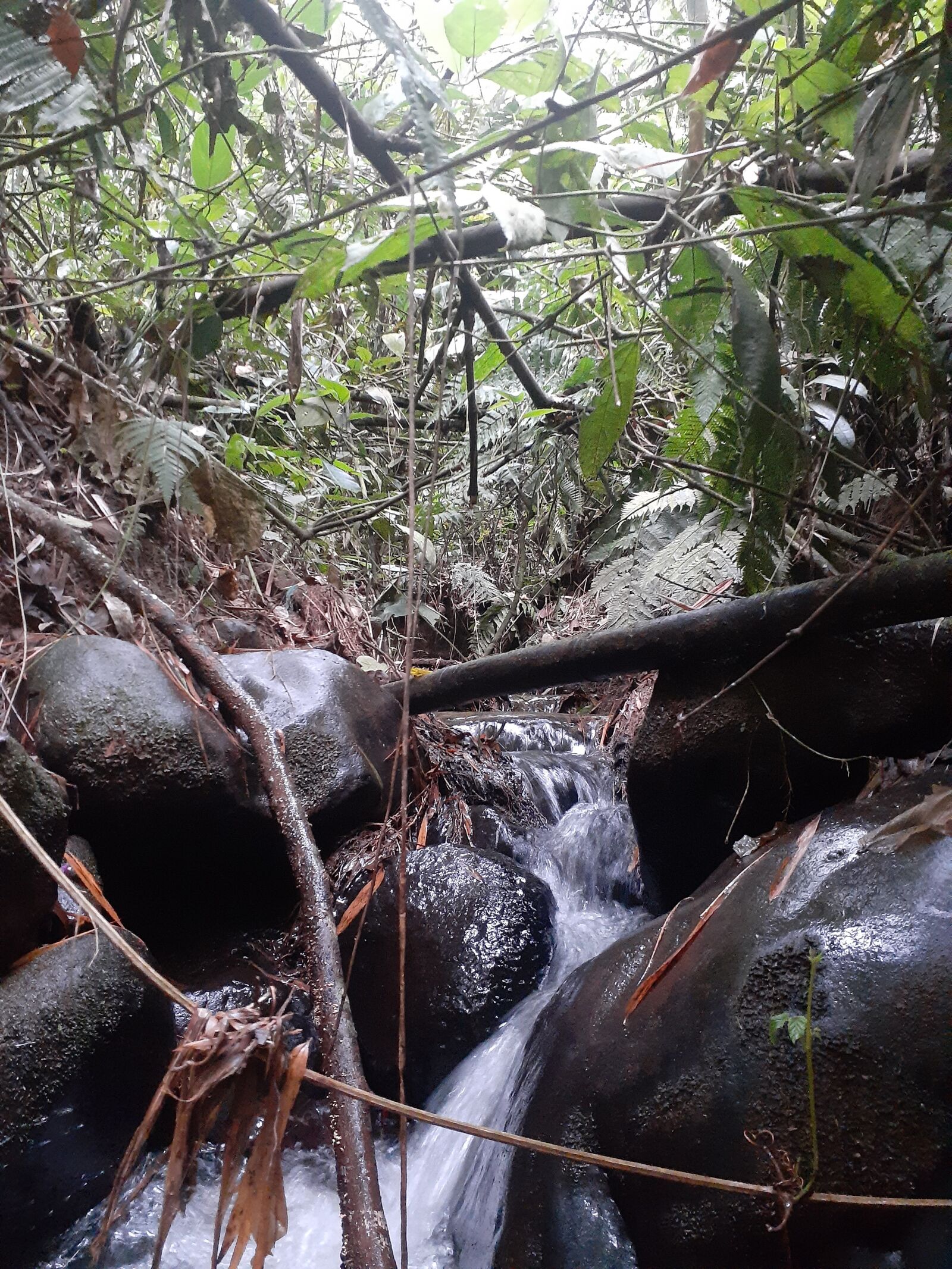 Samsung SM-A205G sample photo. Water, agua, stone photography