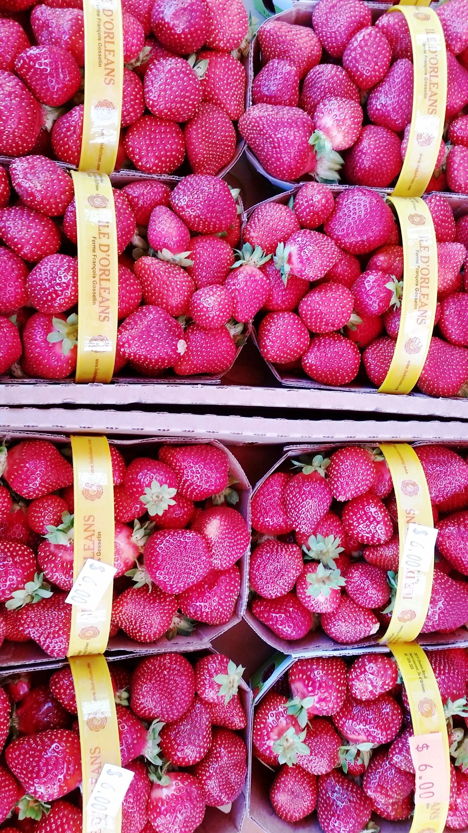 Samsung Galaxy S5 sample photo. Red, strawberries, food photography