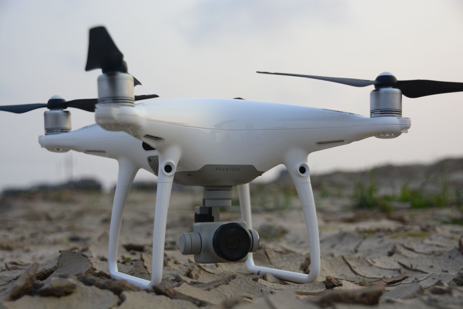 Nikon D7100 sample photo. Outdoor, propeller, nature photography