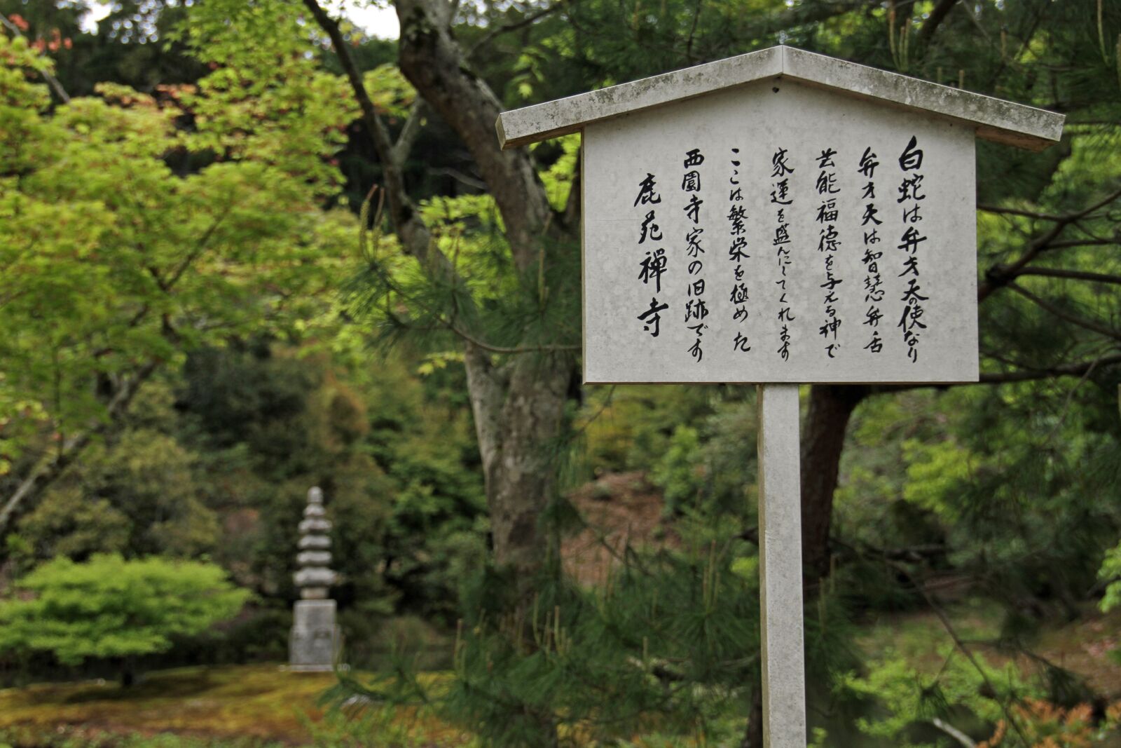 Canon EOS 7D sample photo. Sign, japanese, symbols photography