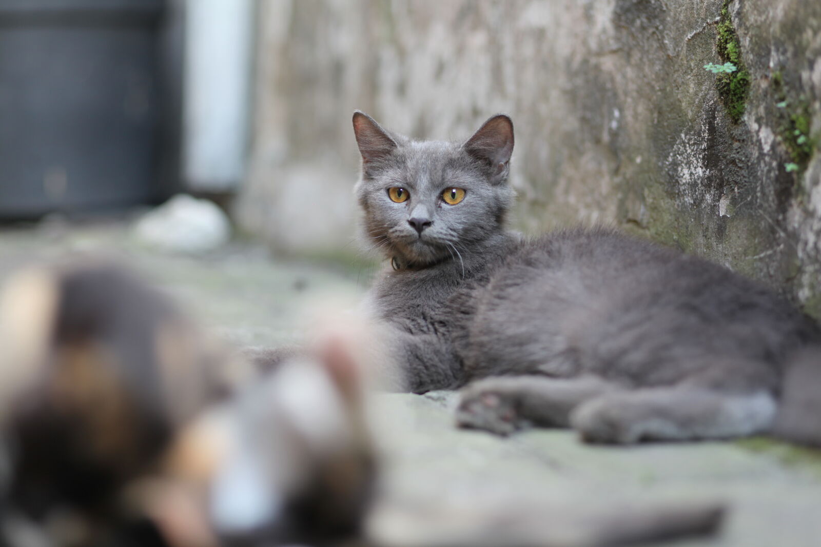 Canon EOS 5D Mark II sample photo