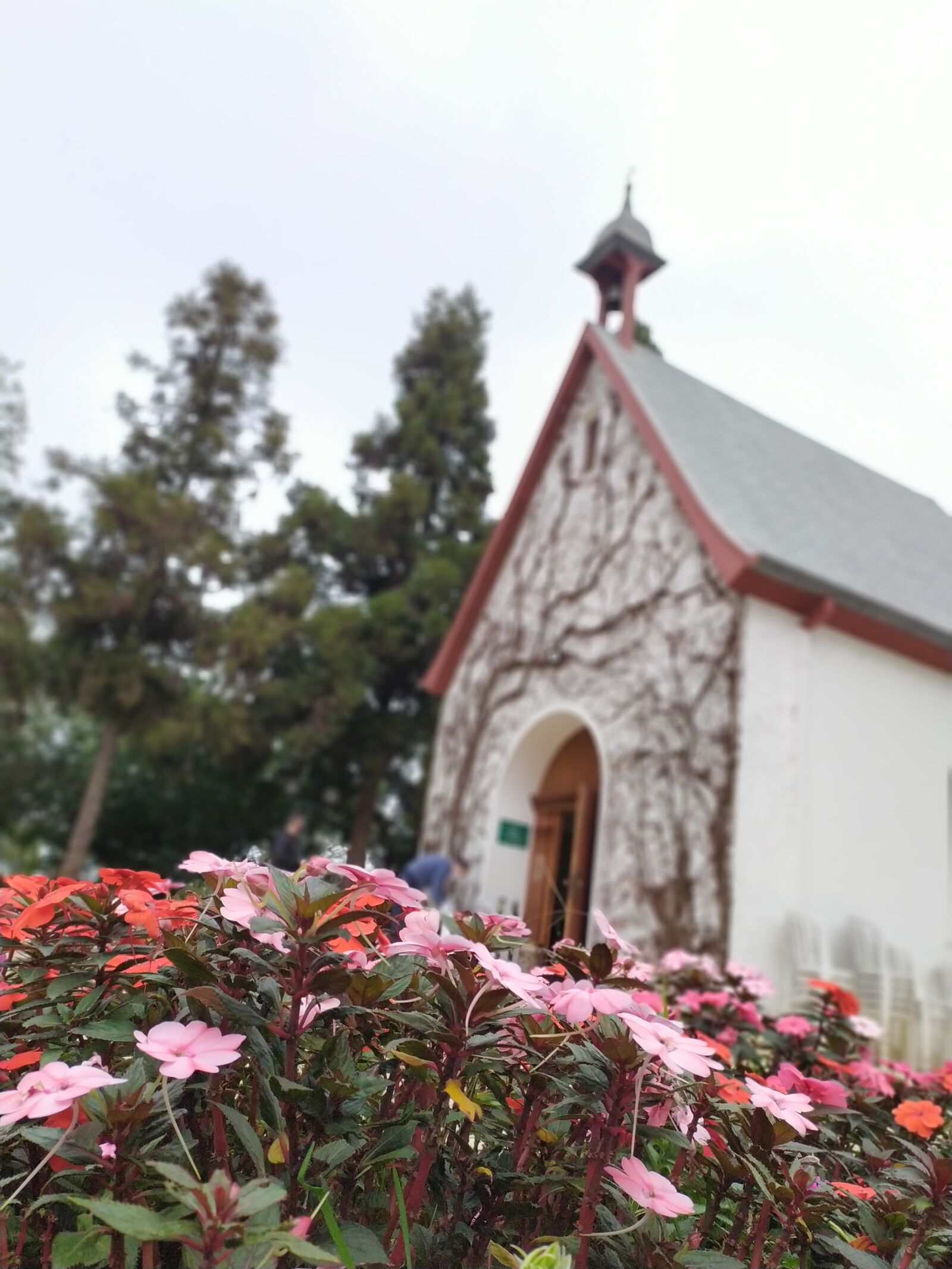 Xiaomi Redmi Note 7 sample photo. Church, flowers, sanctuary photography