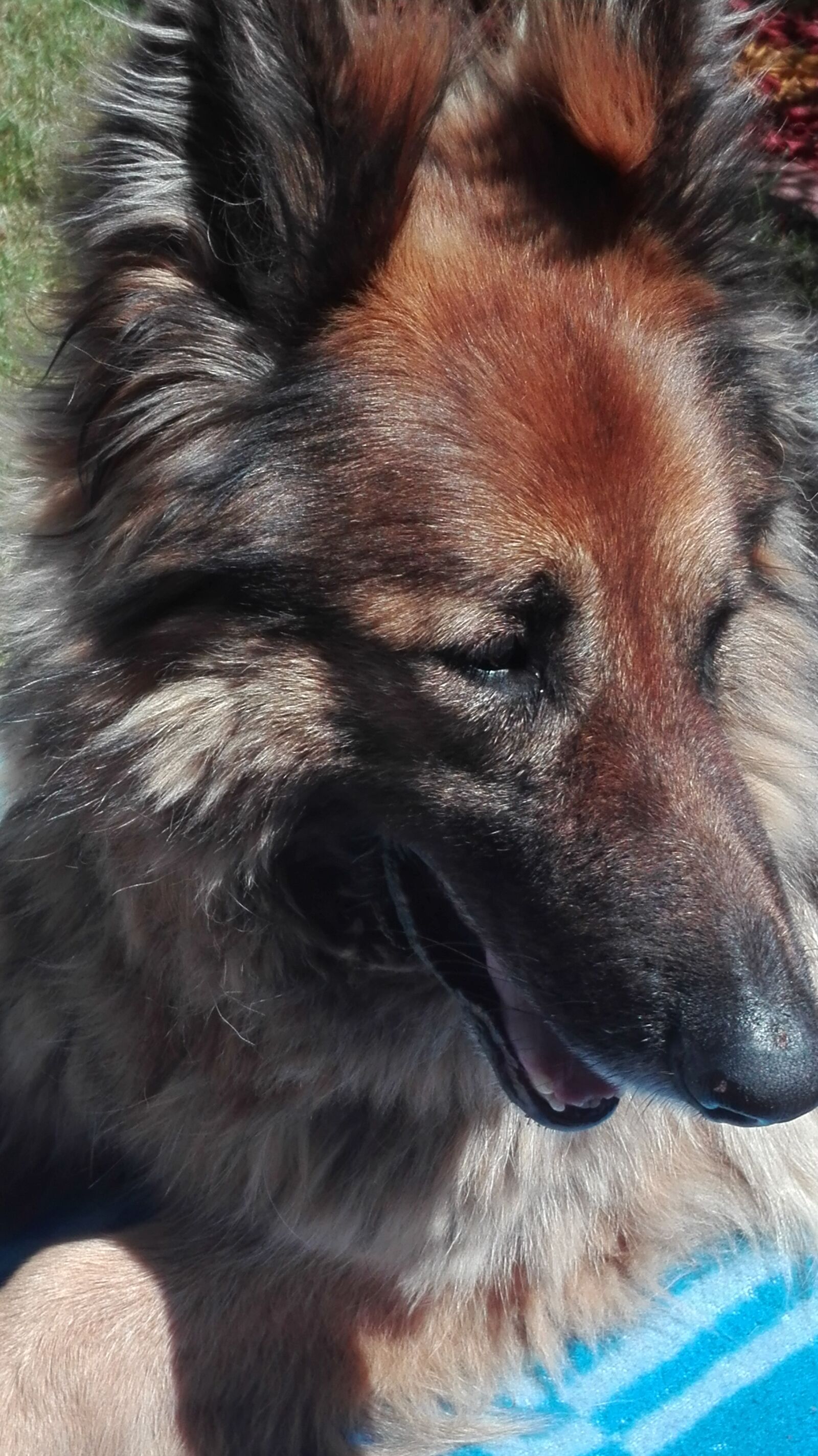 HUAWEI P8 Lite sample photo