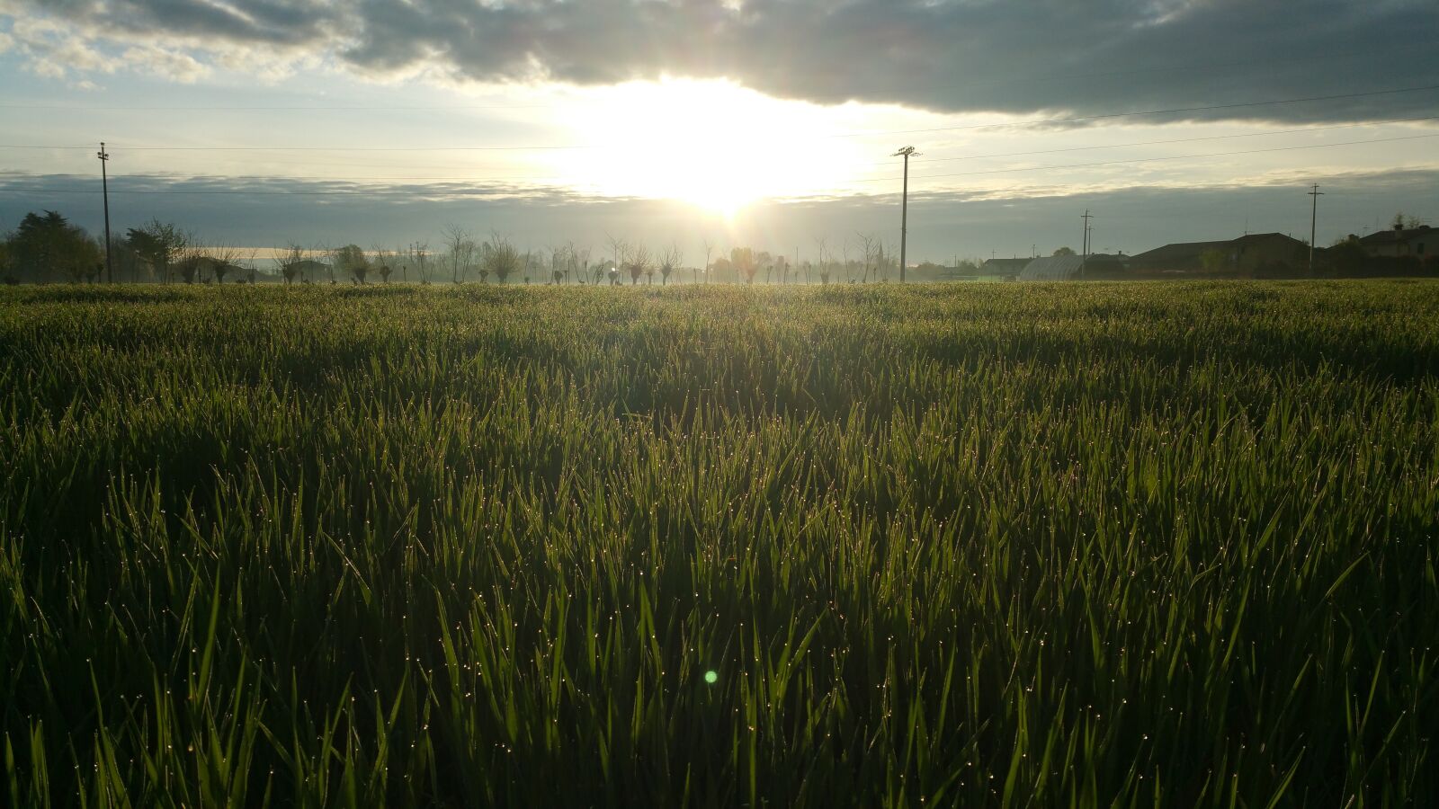 Samsung Galaxy Note4 sample photo. Sunrise, fields, clouds, sun photography