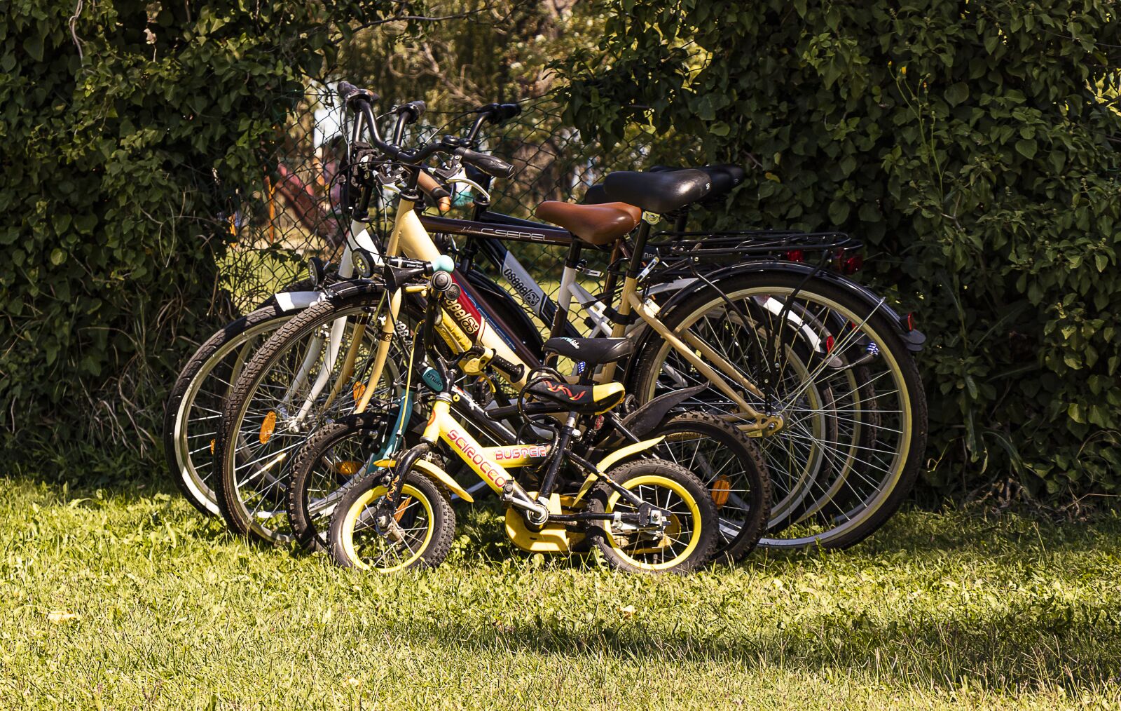 Canon EF-S 18-135mm F3.5-5.6 IS USM sample photo. Bicycle, bike, cycling photography