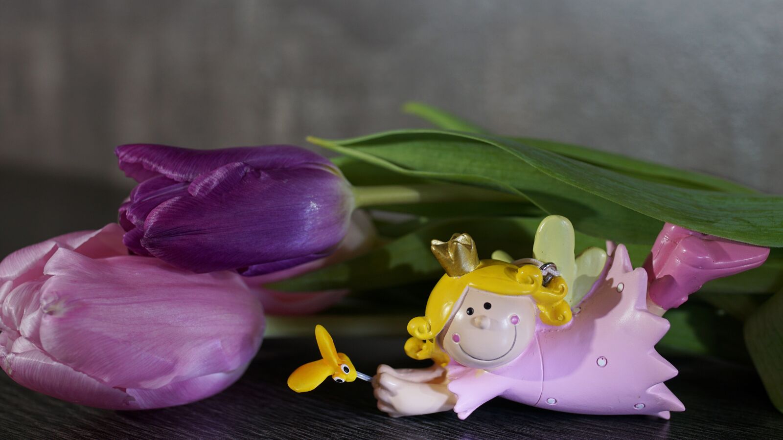 35mm F1.4 sample photo. Flower, nature, plant photography