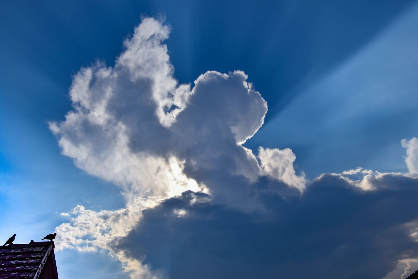 Nikon D3300 sample photo. Cloud, atmosphere, day s photography