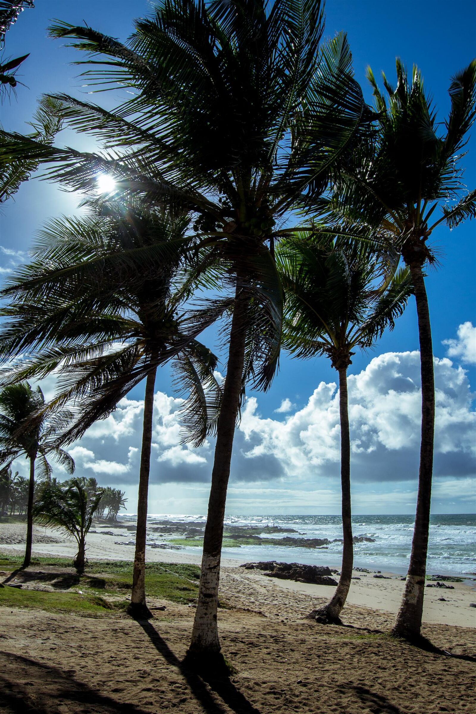 Nikon D3100 sample photo. Beach, blue, clouds, coqueiros photography