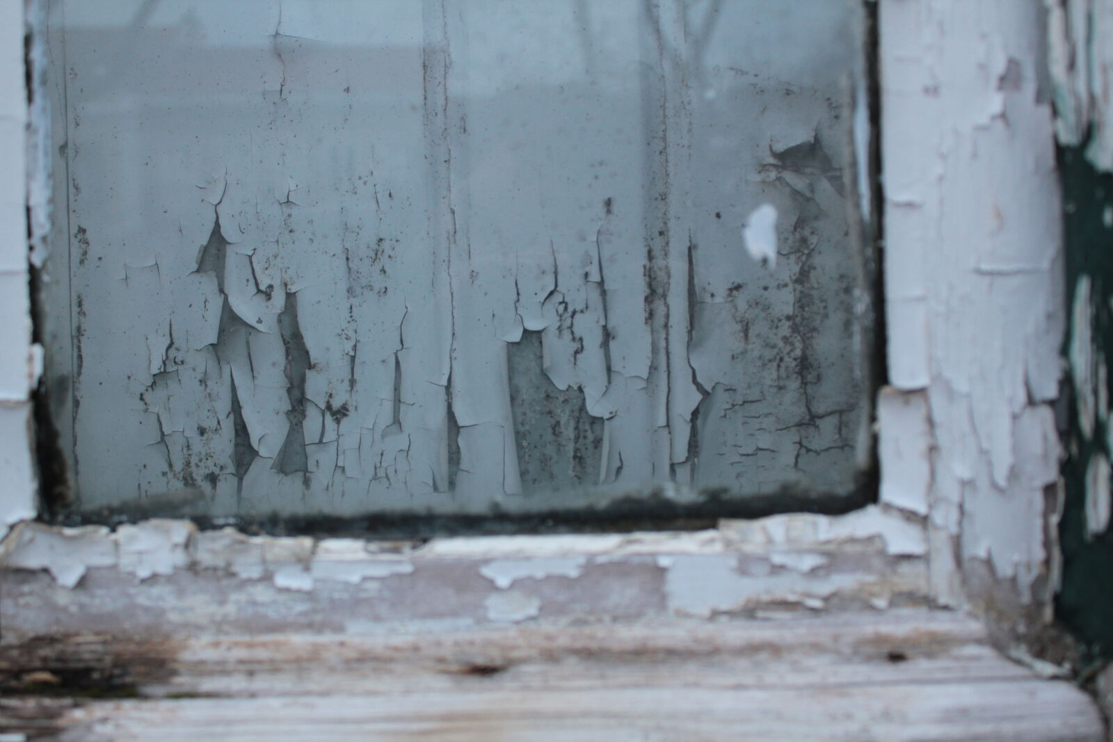 Canon EOS 550D (EOS Rebel T2i / EOS Kiss X4) sample photo. Broken, glass, wood photography
