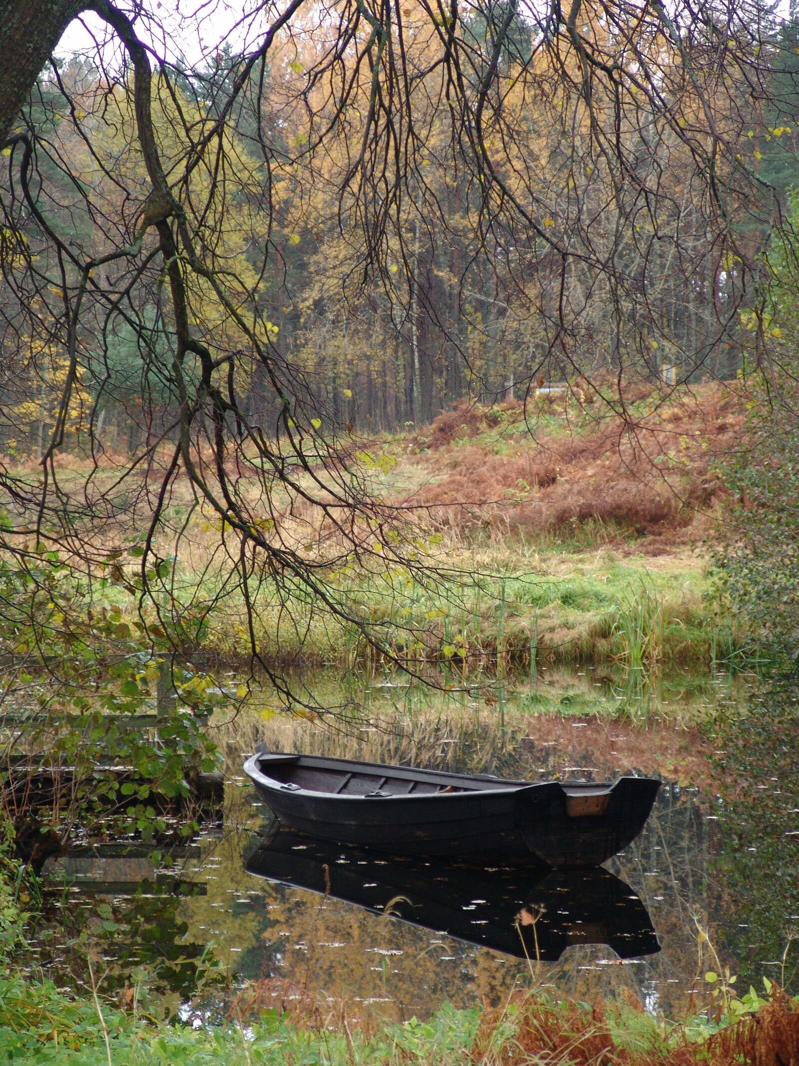 Sony DSC-F828 sample photo. Boat, landscape, water photography