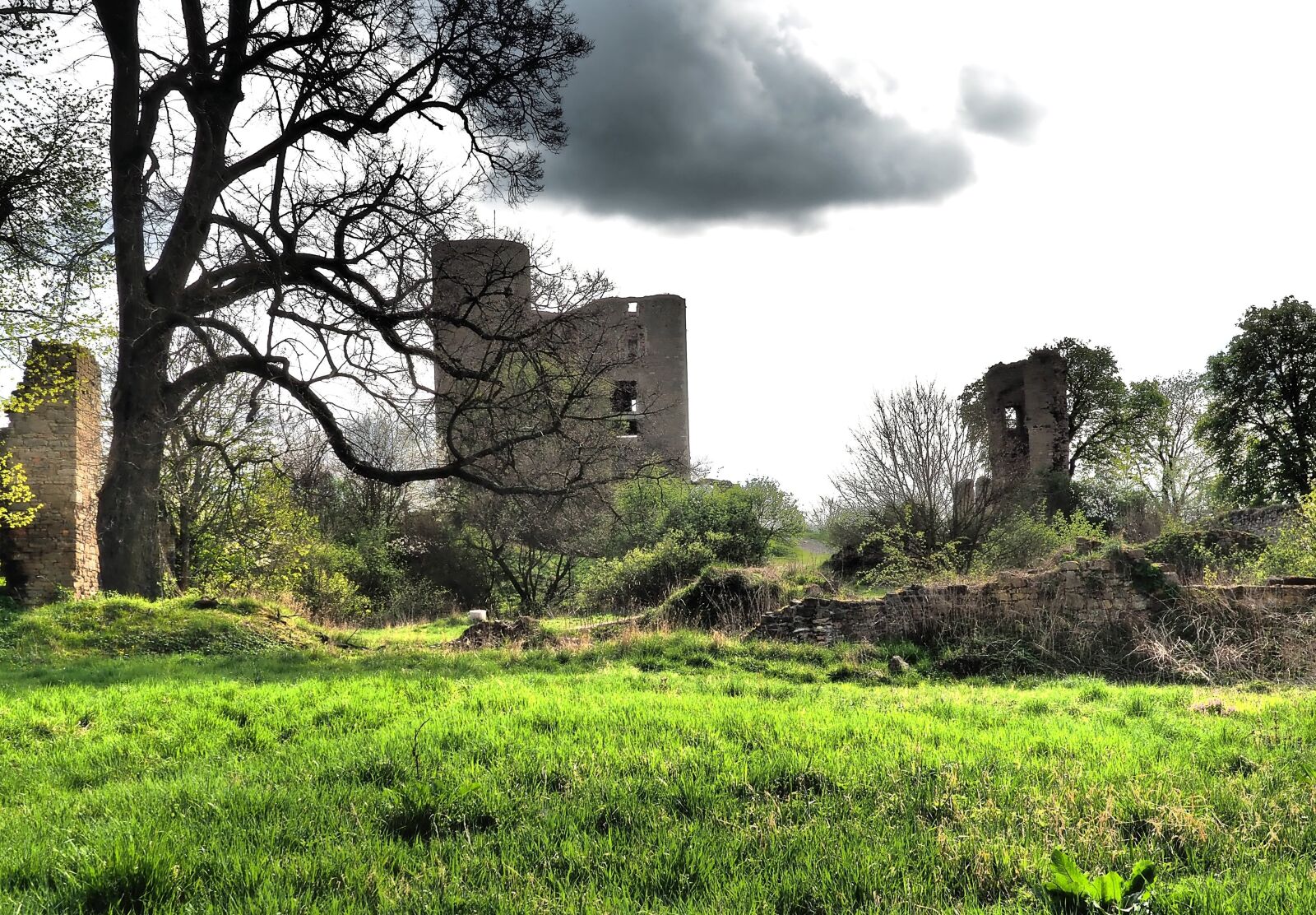 OLYMPUS 14-54mm Lens sample photo. Castle, castle ruin of photography